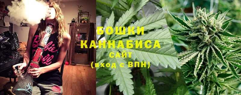 магазин продажи наркотиков  Лагань  МАРИХУАНА Ganja 